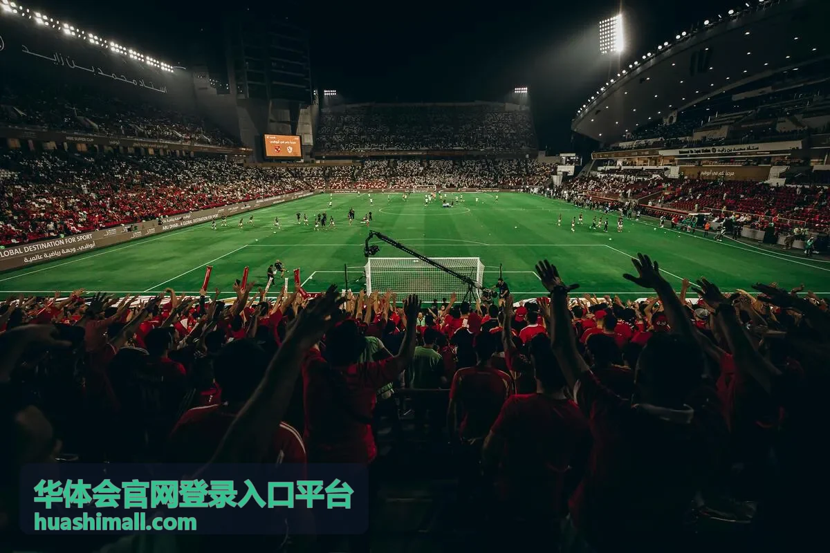 华体会官网登录入口平台的账号安全与密码管理示意