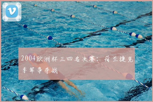 2004欧洲杯三四名决赛：荷兰捷克季军争夺战