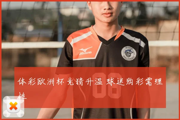 体彩欧洲杯竞猜升温 球迷购彩需理性