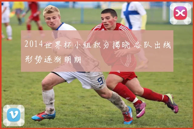 2014世界杯小组积分揭晓 各队出线形势逐渐明朗