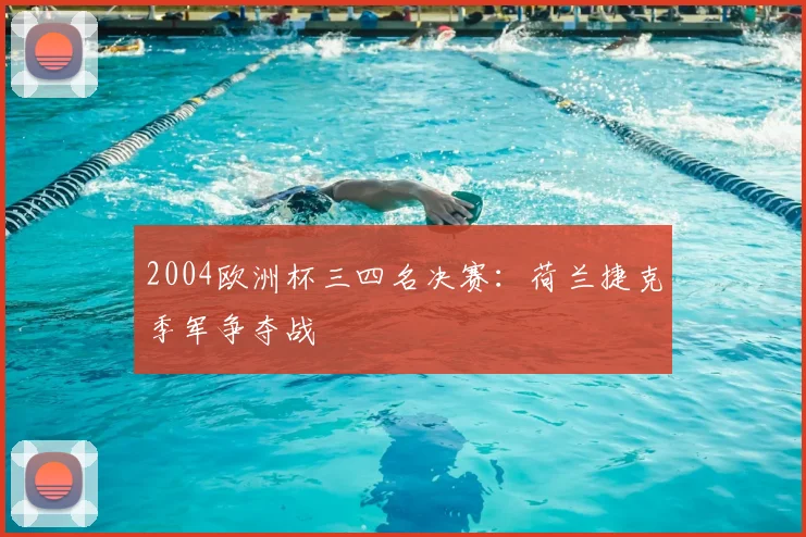 2004欧洲杯三四名决赛：荷兰捷克季军争夺战