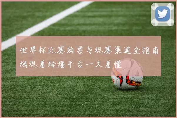 世界杯比赛购票与观赛渠道全指南线观看转播平台一文看懂