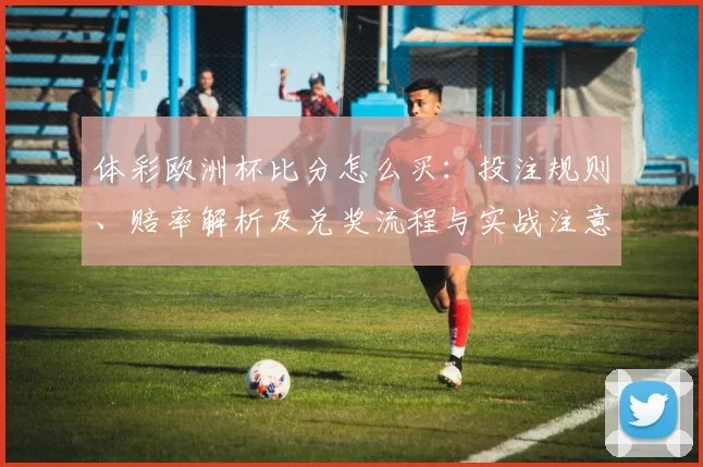 体彩欧洲杯比分怎么买:投注规则、赔率解析及兑奖流程与实战注意事项