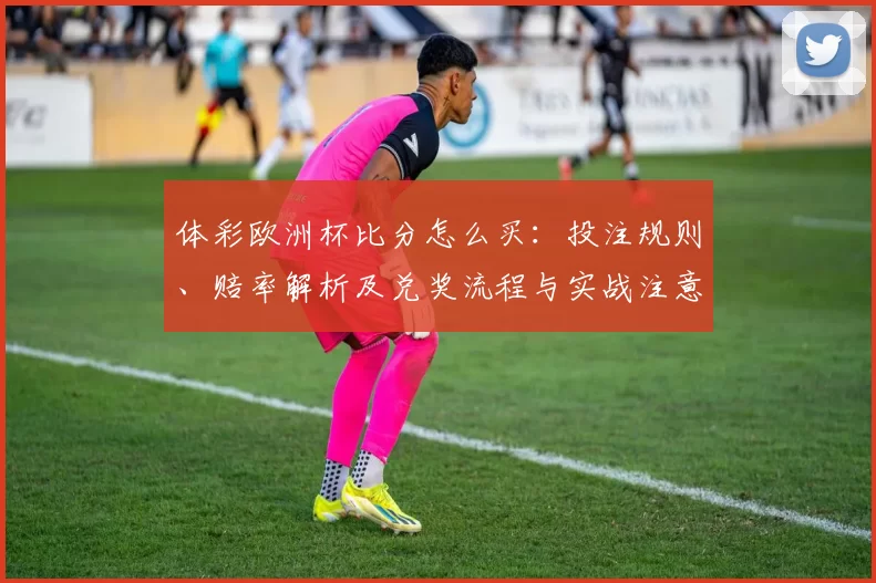 体彩欧洲杯比分怎么买:投注规则、赔率解析及兑奖流程与实战注意事项