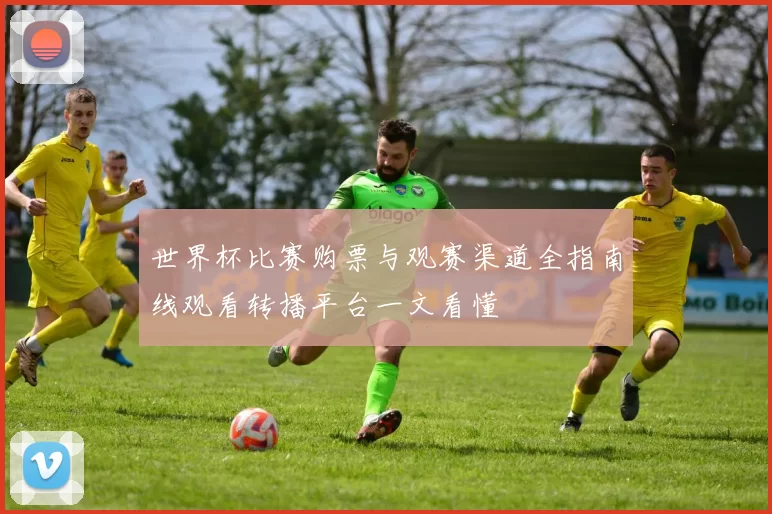 世界杯比赛购票与观赛渠道全指南线观看转播平台一文看懂